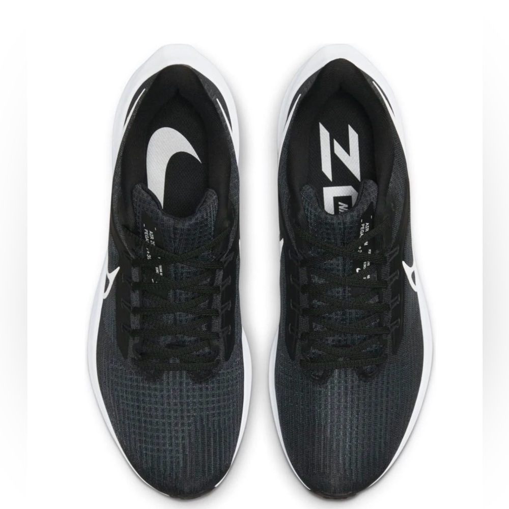 Nike Air Zoom Pegasus 39 ‘Black Dark Smoke Grey'
